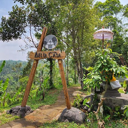 Delta Casa Ubud-Cozy Tropical Villas With Volcano View Payangan Zewnętrze zdjęcie