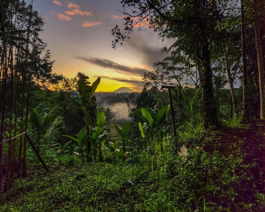 Delta Casa Ubud-Cozy Tropical Villas With Volcano View Payangan Zewnętrze zdjęcie