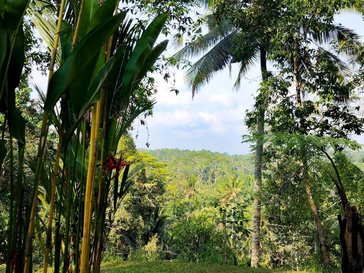 Delta Casa Ubud-Cozy Tropical Villas With Volcano View Payangan Zewnętrze zdjęcie