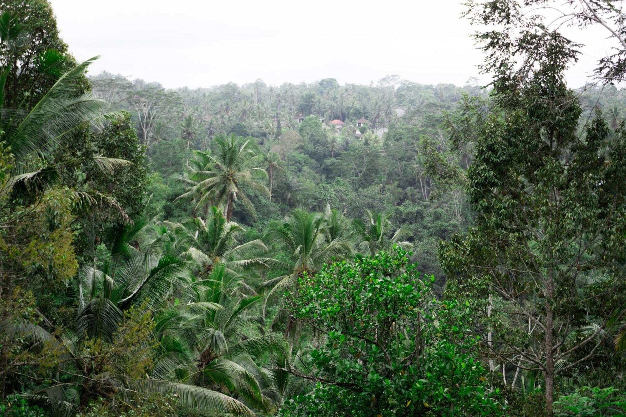 Delta Casa Ubud-Cozy Tropical Villas With Volcano View Payangan Zewnętrze zdjęcie